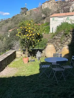 a table and chairs in a yard with a tree at Maison de village 3 chambres 2 SDB avec terrasse & jardin - Proche St Florent in Pieve