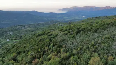 an aerial view of a forested hill with water and mountains at Maison de village 3 chambres 2 SDB avec terrasse & jardin - Proche St Florent in Pieve