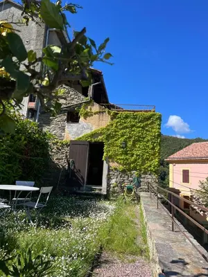 an old building with ivy growing on it at Maison de village 3 chambres 2 SDB avec terrasse & jardin - Proche St Florent in Pieve