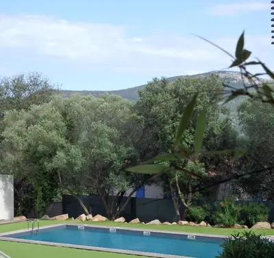 a swimming pool with trees and a mountain in the background at Appartement Cité Du Sel in Porto-Vecchio