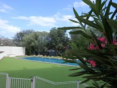 a swimming pool with green grass next to a fence at Appartement Cité Du Sel in Porto-Vecchio