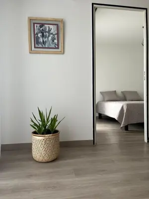 a potted plant in a room with a mirror at Appartement plus place de parking en sous sol privatif in Ajaccio