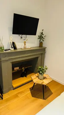 a living room with a fireplace with a flat screen tv at ALG appartement in Corte