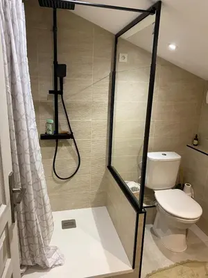 a bathroom with a toilet and a shower at Appartement Sainte Lucie de Tallano,2 personnes au centre du village in Santa-Lucia-di-Tallano