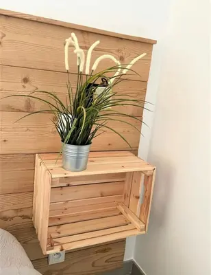 a potted plant sitting on a wooden shelf at un gout de paradis in Zonza