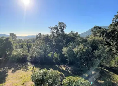 an open field with trees and the sun in the sky at un gout de paradis in Zonza