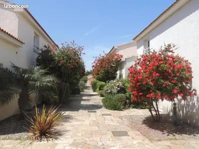 a walkway between two houses with red flowers at Mini villa T2, 200 m de la plage, piscine chauffée, jardin in Prunete