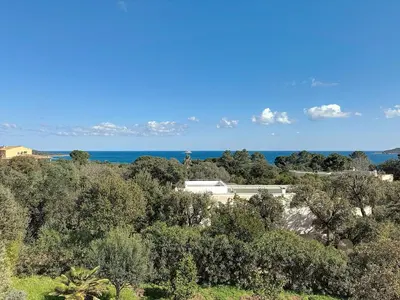 a view of the ocean from a hill with trees at Villa Mimosa 150 m from Pinarello Beach in Zonza