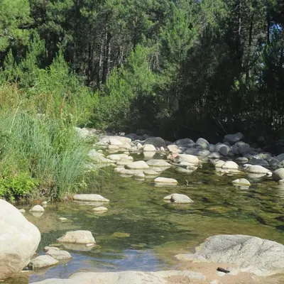 a stream of water with rocks and trees at villa dans petite résidence avec piscine à 10 minutes des plages proche PORTO VECCHIO in Porto-Vecchio