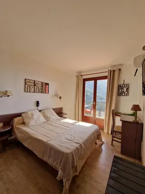 a bedroom with a large bed and a window at T2 vue mer & montagne Golfe de Porto-Ota in Porto Ota