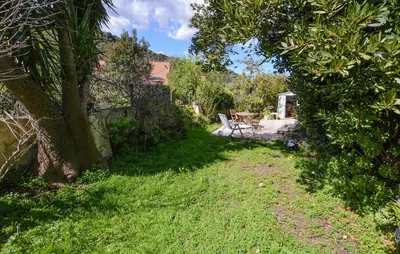 a garden with a tree and a table in the distance at Awesome Home In Oletta in Oletta