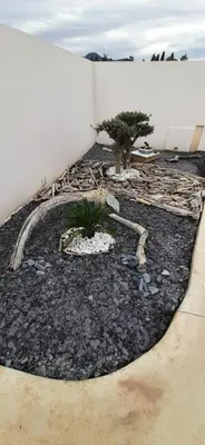 a rock garden with a tree in the middle at Chez bigoudy in Penta-di-Casinca