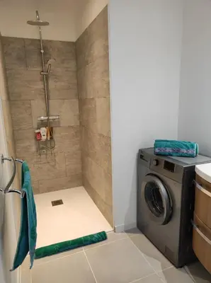 a laundry room with a washer and dryer at Grand F2 vue montagne in Olmeta-di-Tuda