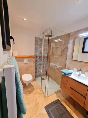 a bathroom with a shower and a toilet and a sink at Studio à Bonifacio in Bonifacio