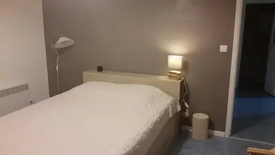 a bedroom with a white bed and a lamp at Le Gîte Radica in Eccica-Suarella