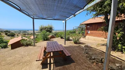 a wooden picnic table under a canopy in a yard at Camping Les Couchants in Casaglione