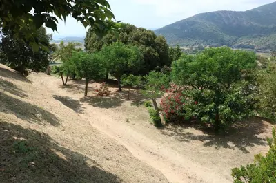 a dirt road with trees on the side of a hill at Camping Les Couchants in Casaglione