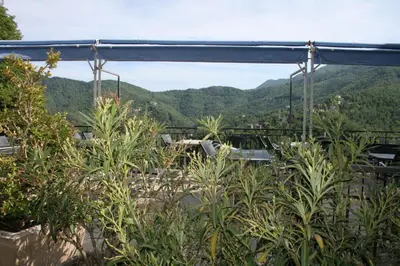 a view of the mountains from a house with plants at Le Refuge Orezza in Piedicroce