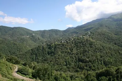 an aerial view of a forested mountain with a road at Le Refuge Orezza in Piedicroce
