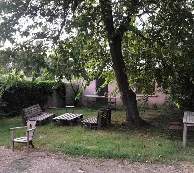 a group of park benches sitting under a tree at Joli T1 à ne pas manquer in Borgo