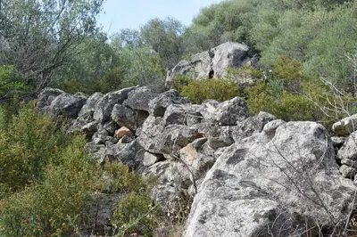 a pile of rocks on a hill with trees at Villas Inamorata in Lecci