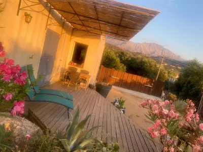 a patio with a blue bench and flowers at Le Petit paradis in Aregno