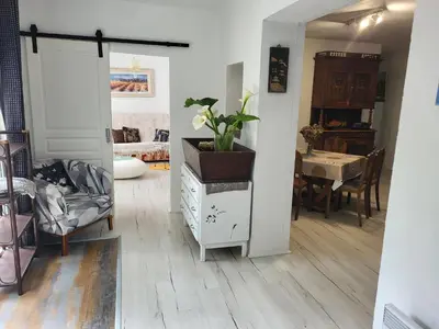 a living room with a plant on top of a dresser at Appartement calme, authentique et spacieux au pied du GR20 in Calenzana