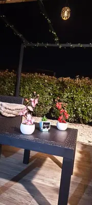 two potted plants sitting on a black bench at Résidence privée avec piscine à Bonifacio in Bonifacio