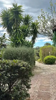 a garden with a path and trees and bushes at Chambre cosy à 5 min de la plage in Viagenti