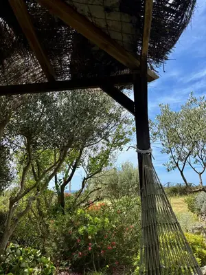 a hammock in a field with trees in the background at Chambre cosy à 5 min de la plage in Viagenti