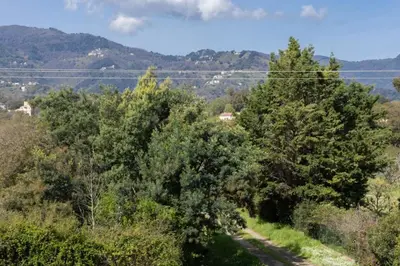 a road through a forest with mountains in the background at Casa Verde in San-Nicolao