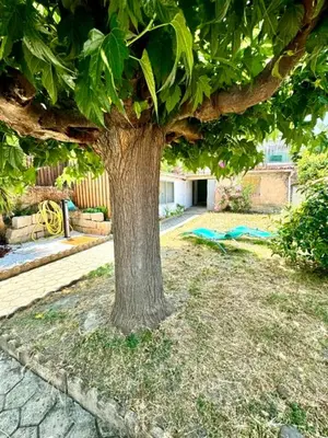 a tree in the middle of a yard at Maison avec jardin et proche mer in Propriano
