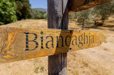 a wooden sign with the word barcelona on it at Domaine de Campu in Vallecalle