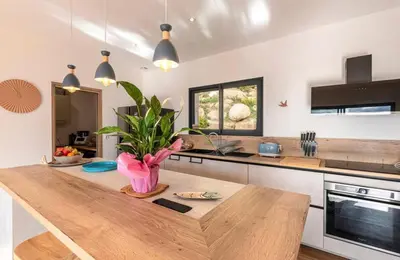 a kitchen with a wooden table with a potted plant at Villa ALTEA , au cœur du Maquis , 4 chambres , Figari in Figari