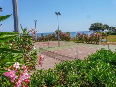 a tennis court with flowers and the ocean in the background at Studio Face à la mer in Cervione