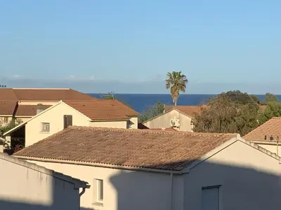 a group of houses with a palm tree in the background at Studio Face à la mer in Cervione