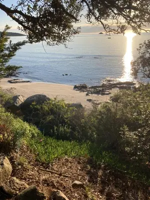 a beach with the sun shining on the water at Villa de bord de plage in Pinarellu