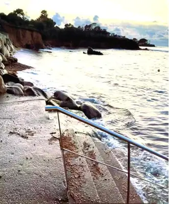 a group of seals on the shore of a body of water at F2 tout confort, les pieds dans l'eau, PORTICCIO in Grosseto-Prugna