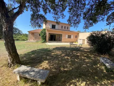 a house with a tree and a bench in front of it at villa a calata in Porto-Vecchio