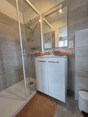 a bathroom with a shower and a toilet and a sink at Charmant T2 climatisé avec terrasse à 5min des plages in Lecci