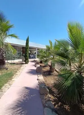 a walkway with palm trees in front of a building at Alizo in Lecci