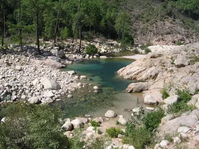 a river with rocks and blue water and trees at APPARTEMENT T3 65 m2 CENTRE VILLE in Porto-Vecchio