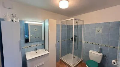 a bathroom with a shower and a toilet and a sink at Le Gozzi in Afa