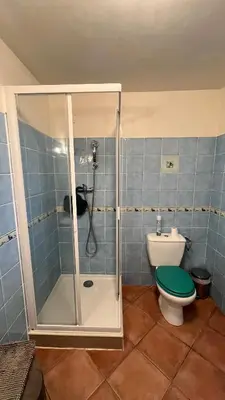 a bathroom with a shower with a toilet and a shower at Le Gozzi in Afa