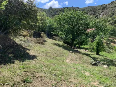 a grassy field with trees and a mountain at U citraghju in Feliceto