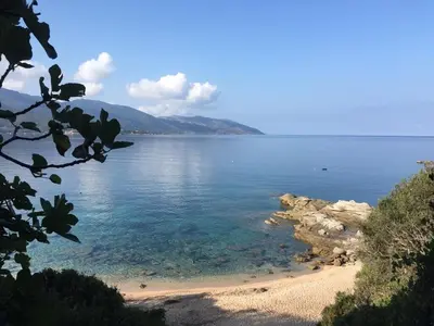 a view of a beach with the ocean at Vacances pieds dans l eau in Casaglione