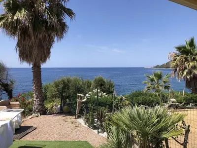 a view of the ocean from a resort with palm trees at Vacances pieds dans l eau in Casaglione