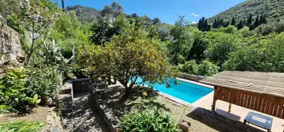 a house with a tree and a swimming pool at villa terra et mare in Oletta