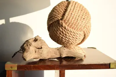 a animal skull with a hat on top of a table at Merveilleux, sur la plage et accès direct à la mer in Olmeto