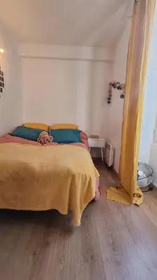 a bedroom with a bed with a yellow blanket on it at Charmant Type 2 hyper centre in Corte